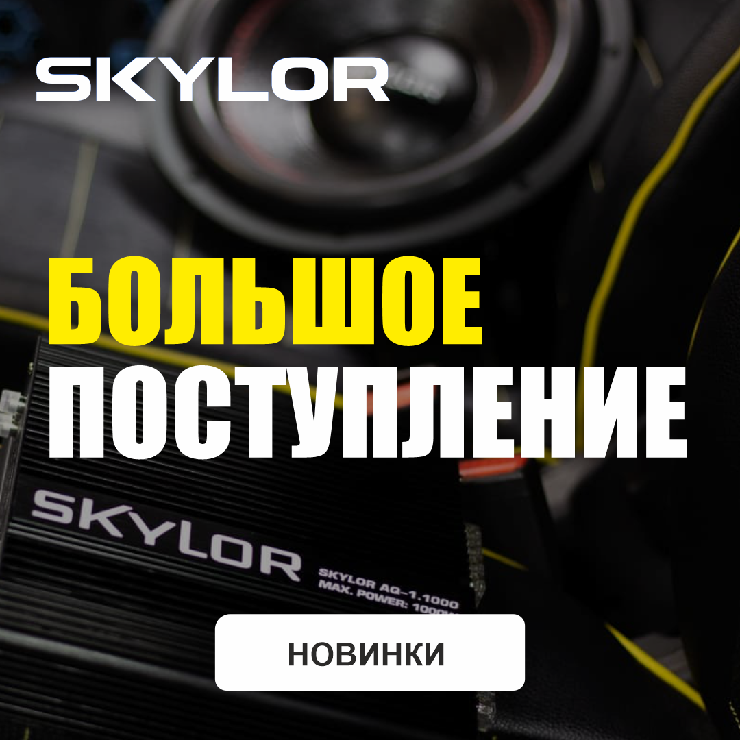Поступление продукции SKYLOR